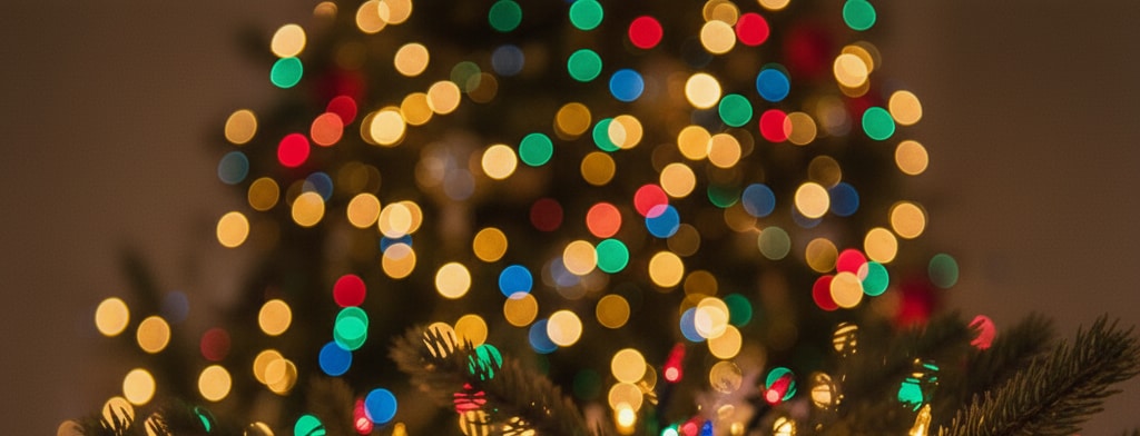 bokeh christmas lights Tampa