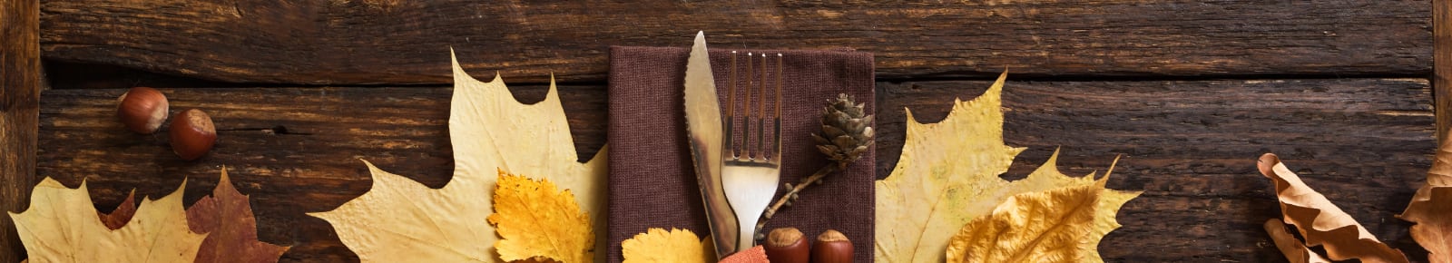 Thanksgiving Events Tampa